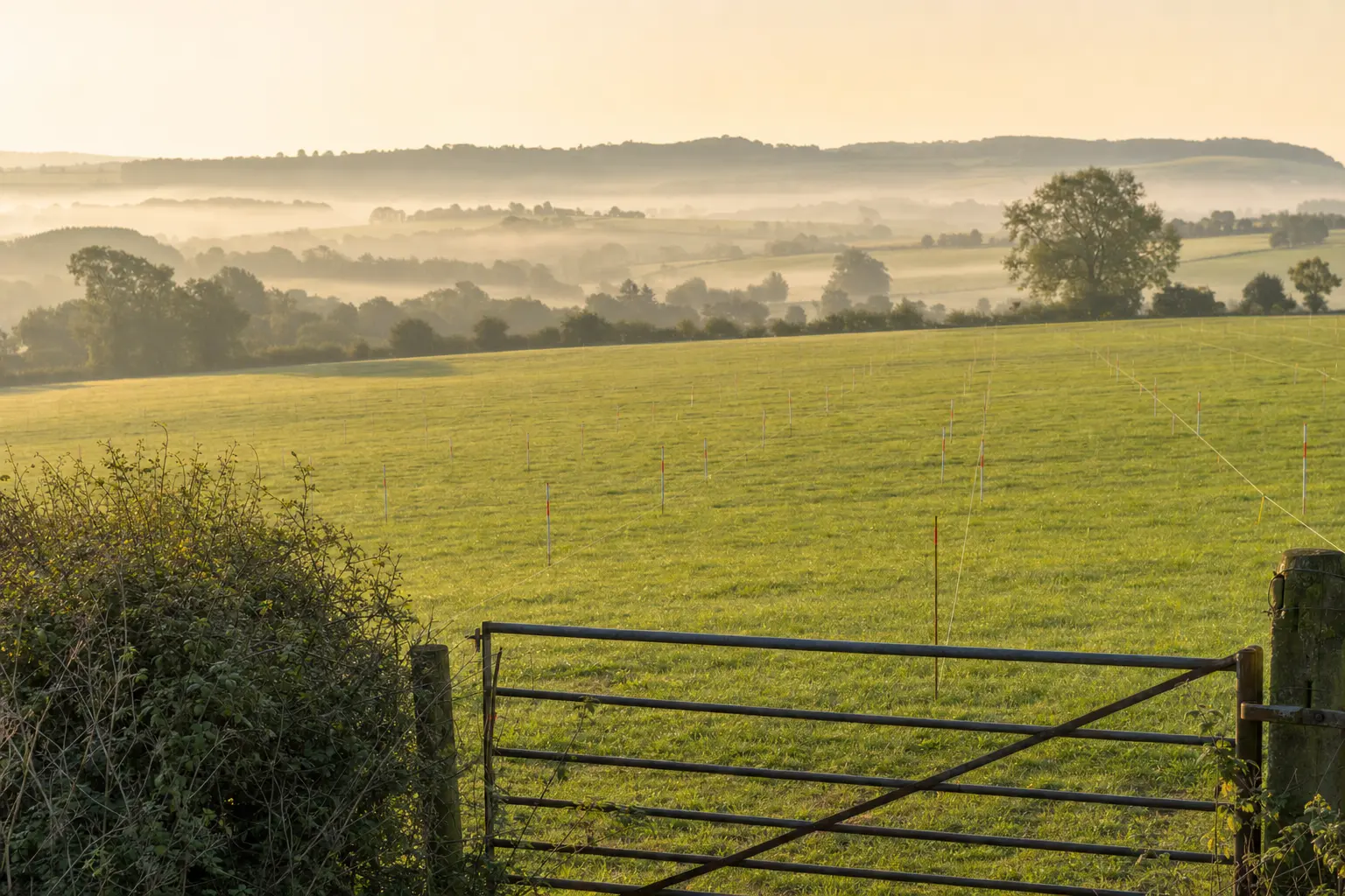Consented UK solar development site set out with surveyor markers